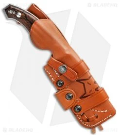 Fox Knives Octopus Vulgaris Fixed Blade Knife Zircote Wood (4.3" Sat) FX-510 ZW -Fox Knives Fox Knives Octopus Vulgaris Fixed Blade Knife Zircote Wood 4.3 Satin BHQ 86470 LS Sheath